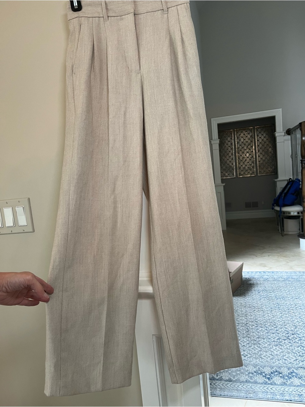 Aritzia Neutral Wide-Leg Pleated Trousers